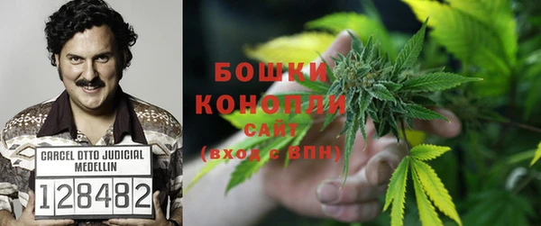 амф Богородицк
