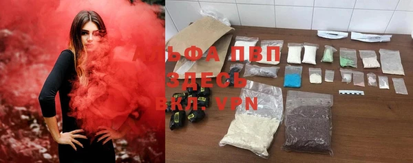 прущий лед Богданович