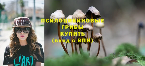 соль курить ск Богородск