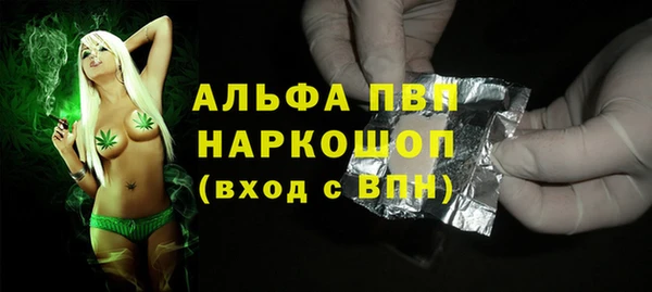 прущий лед Богданович