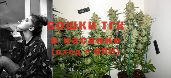 прущий лед Богданович