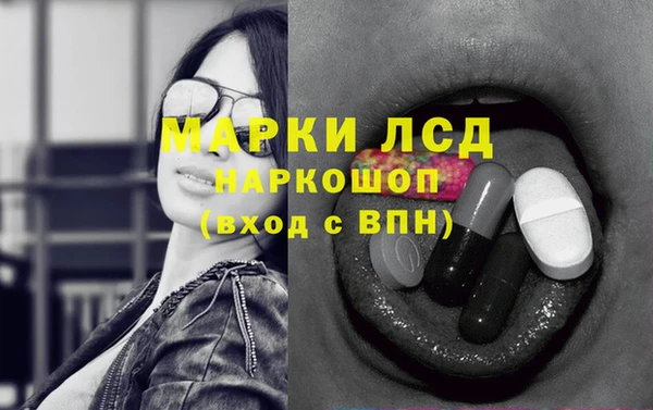 прущий лед Богданович