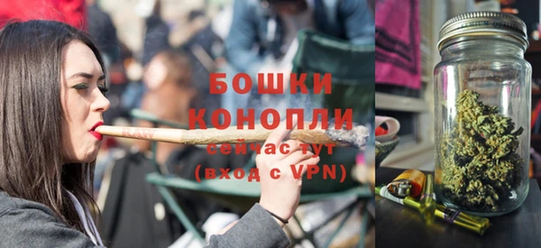 прущий лед Богданович