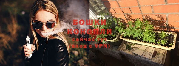 амф Богородицк