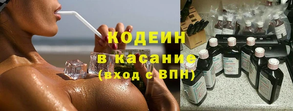 прущий лед Богданович